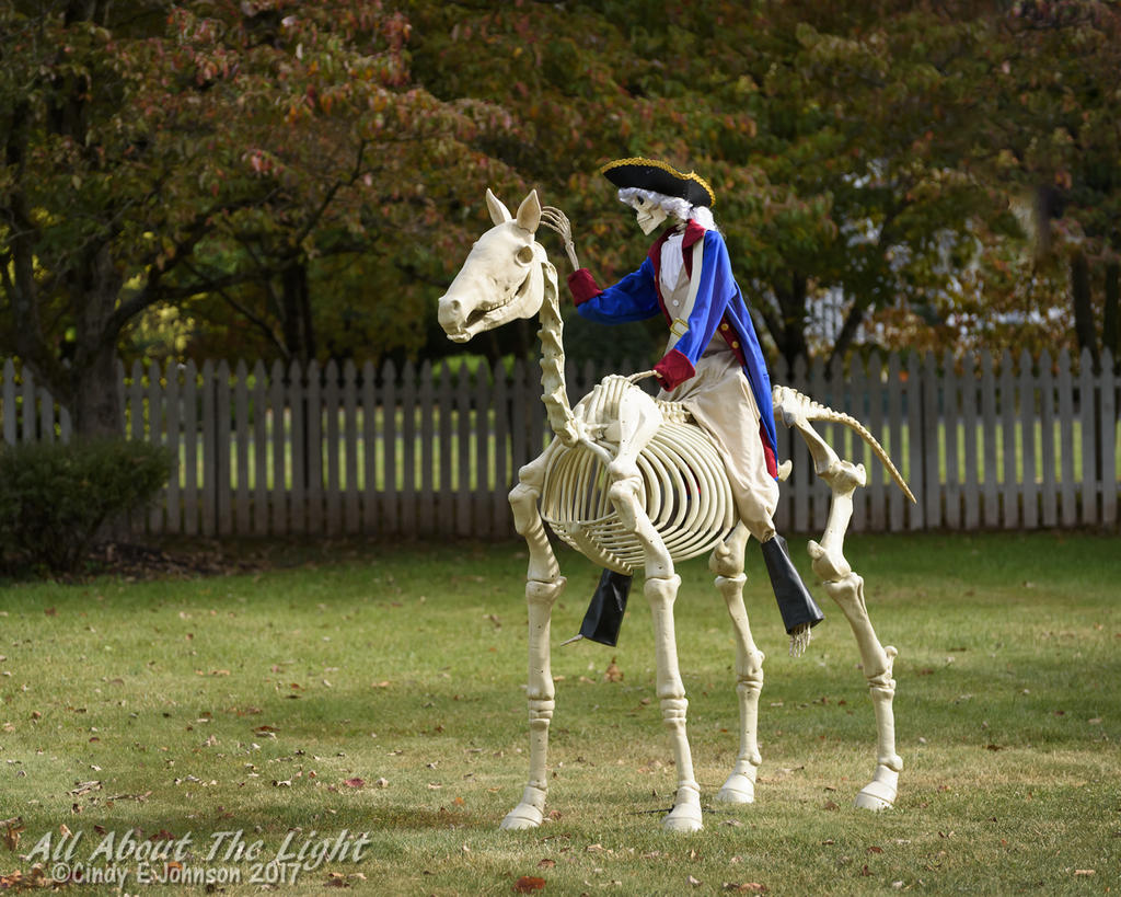 DSC_4490 low res.jpg