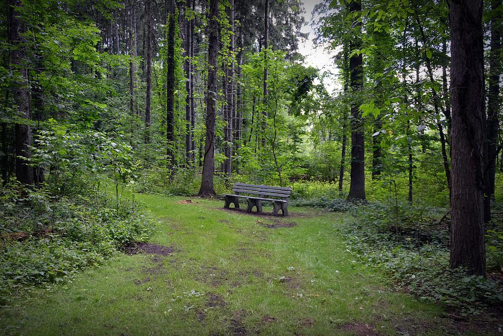 DSC_4497.jpg
