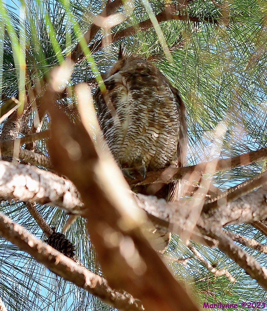 DSC_4501_001.JPG