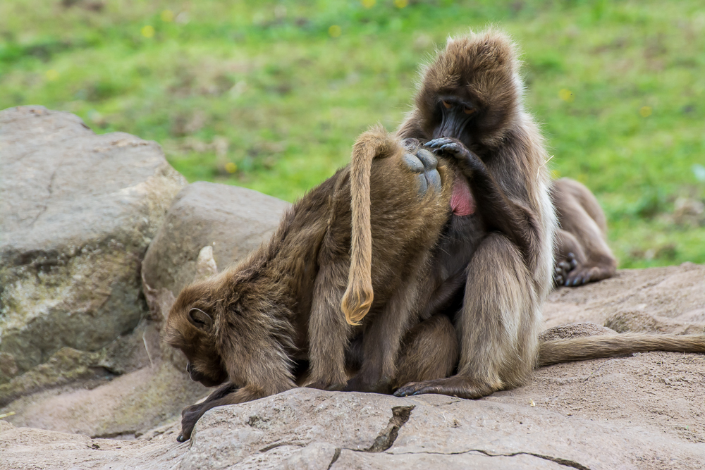 DSC_4502.jpg