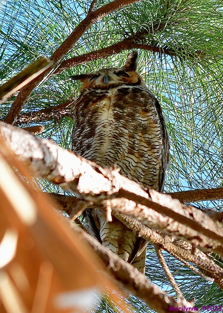 DSC_4505_001.JPG