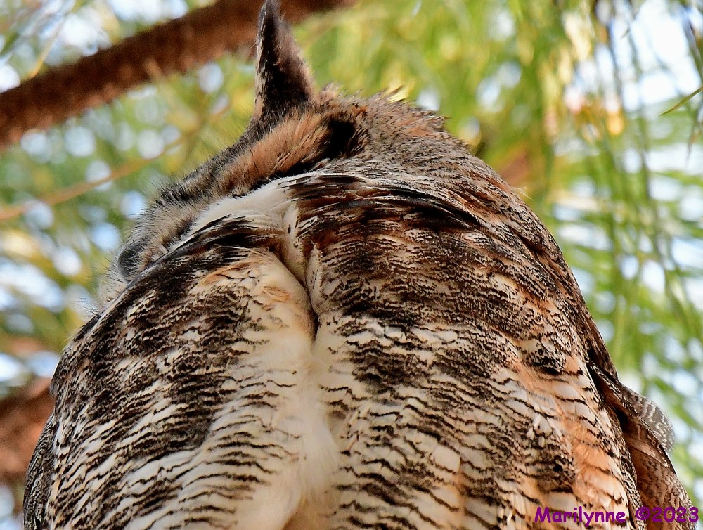 DSC_4508_001.JPG