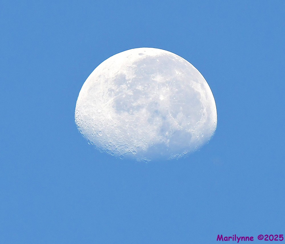 DSC_4512_001.JPG