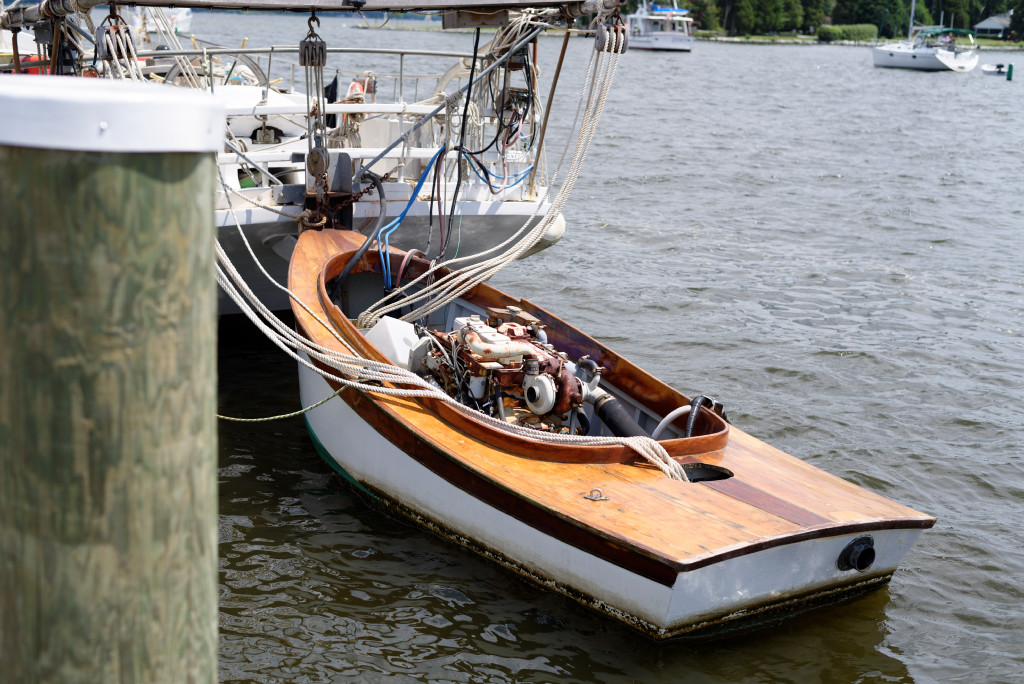 DSC_4513_DxO.jpg