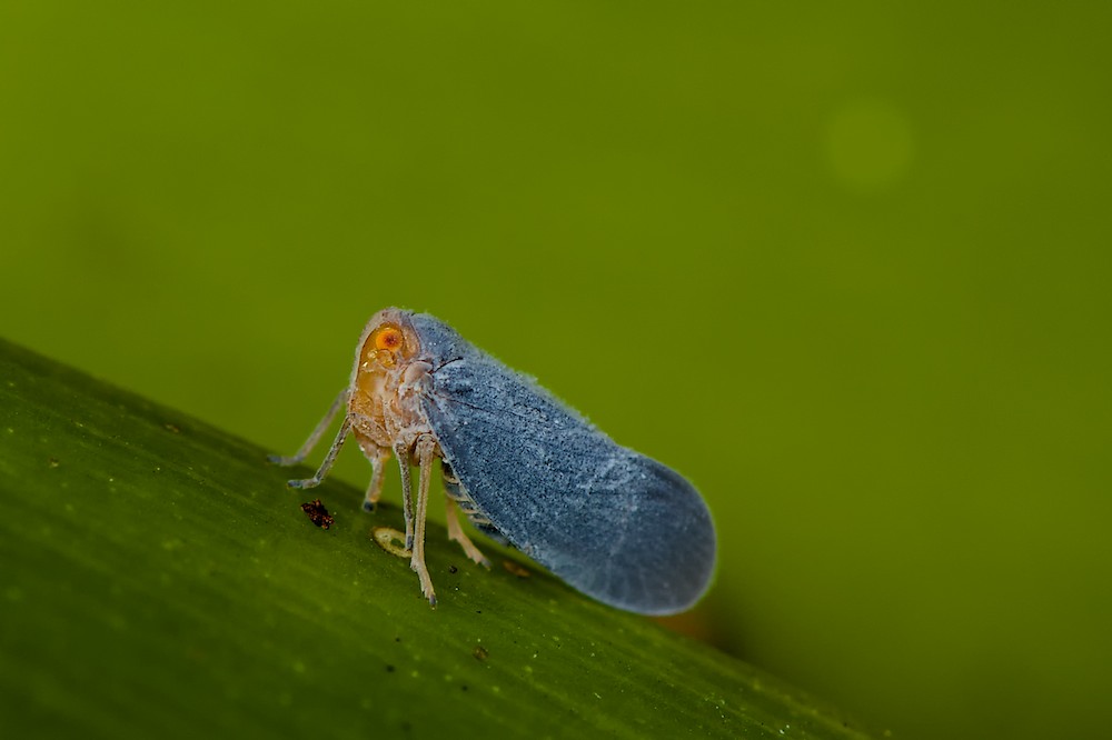 DSC_4517.jpg