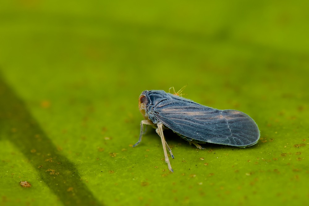 DSC_4518.jpg