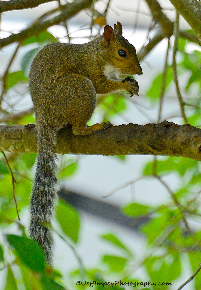 DSC_4523.jpg
