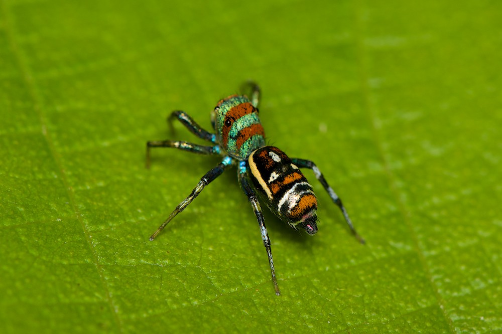 DSC_4525.jpg