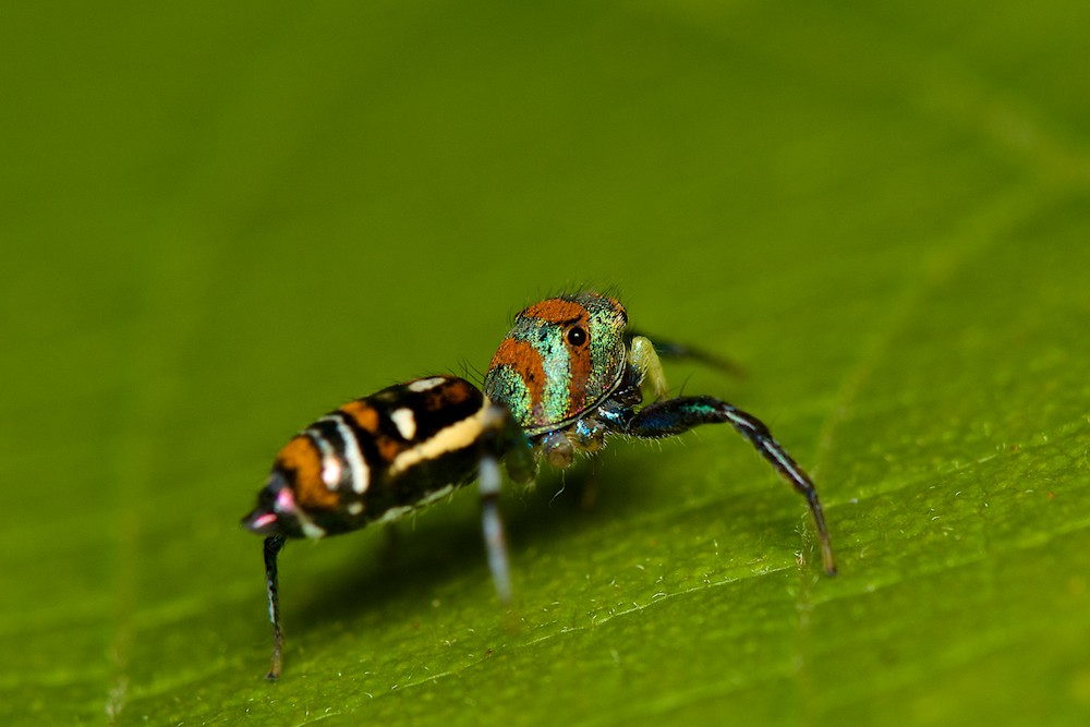 DSC_4527.jpg