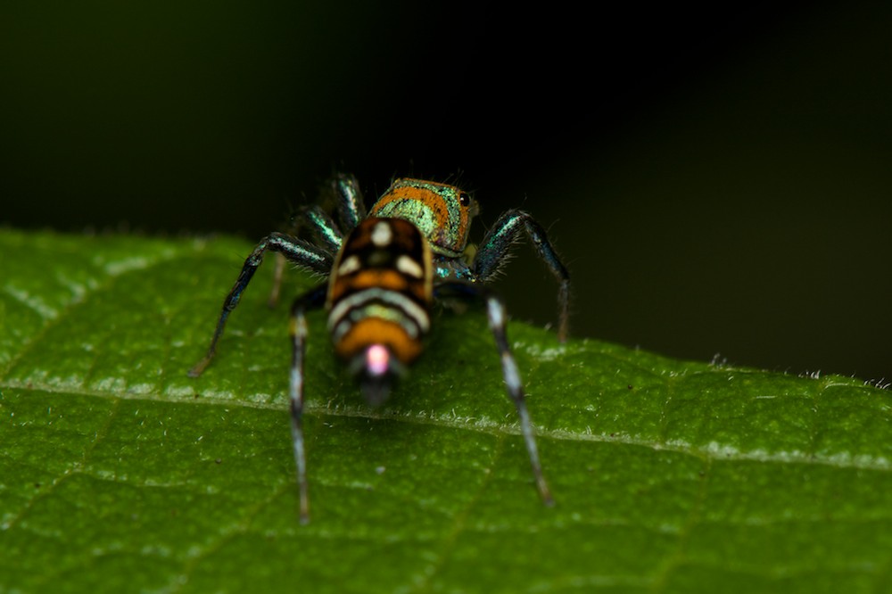 DSC_4533.jpg