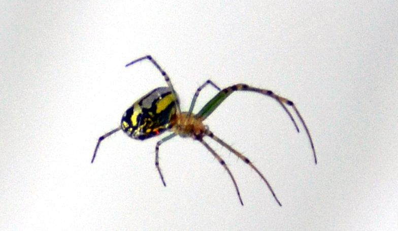DSC_4542.JPG