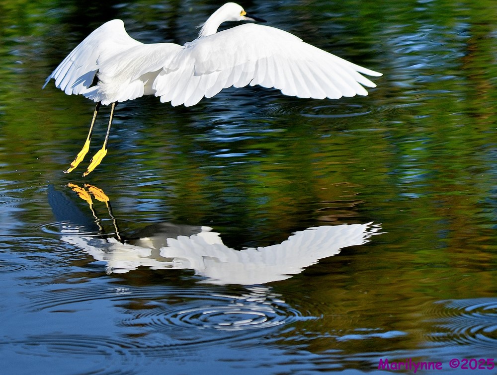 DSC_4545_001.JPG