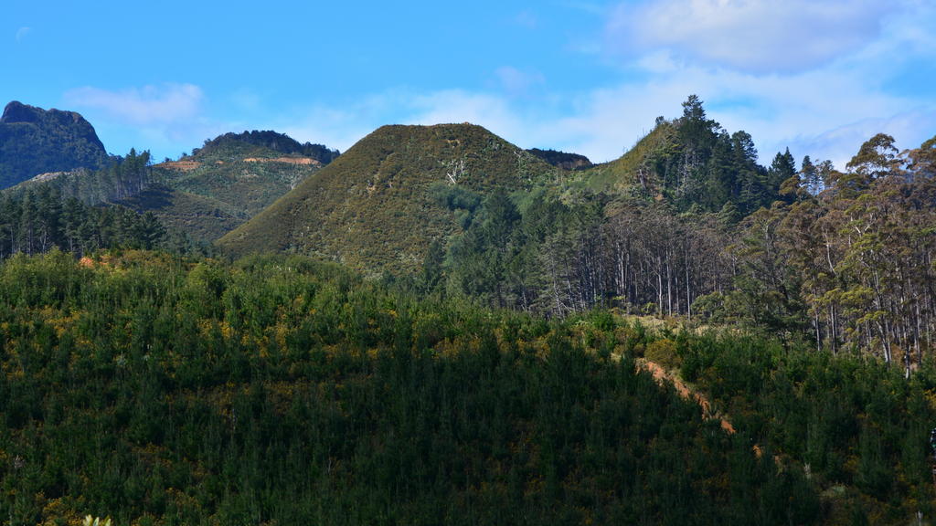 DSC_4557.jpg