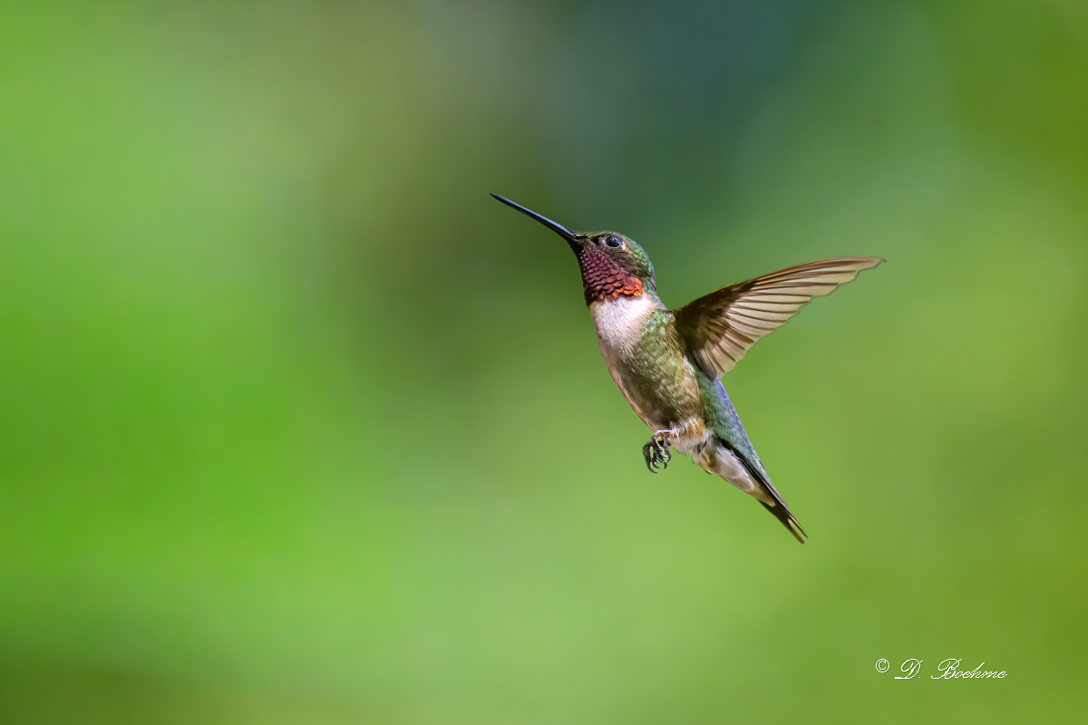 DSC_4565-topaz-rawdenoise-3.jpg