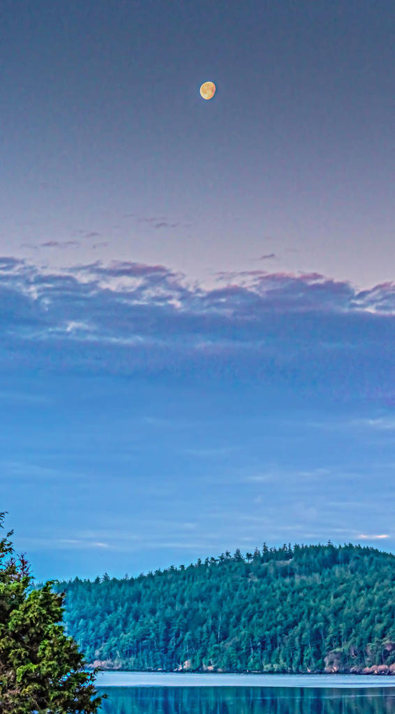 DSC_4566-Pano-Edit.jpg