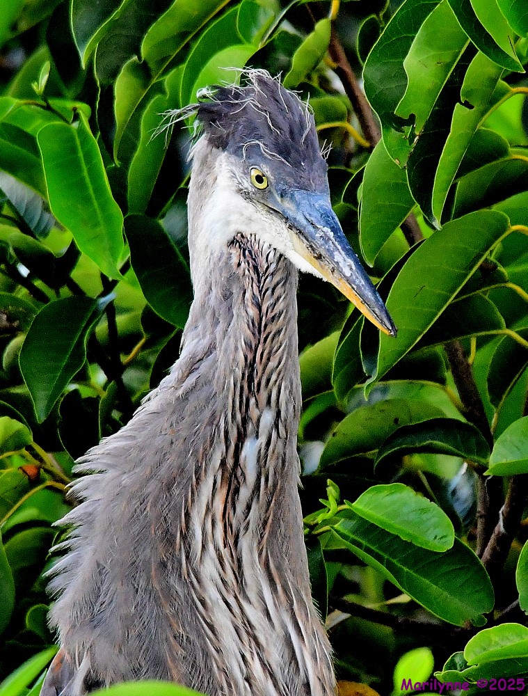 DSC_4567_001.JPG