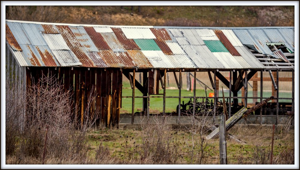 DSC_4568-2.jpg