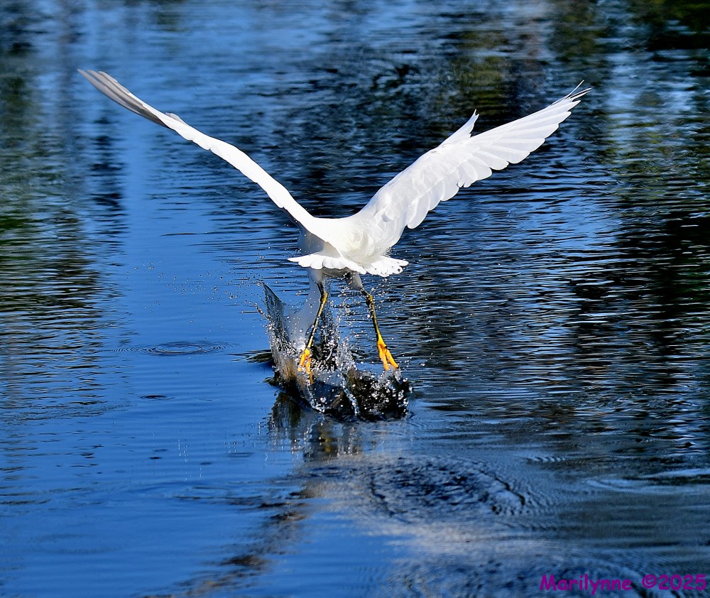 DSC_4569_001.JPG