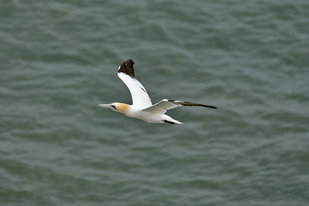 DSC_4570.jpg