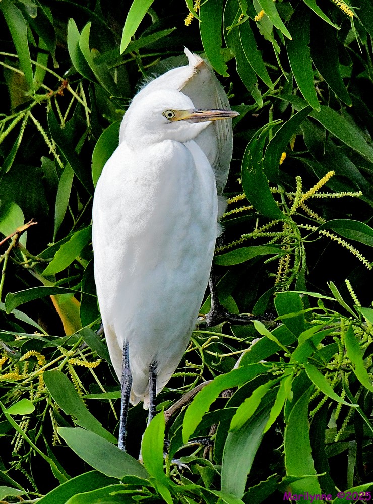 DSC_4570_001.JPG