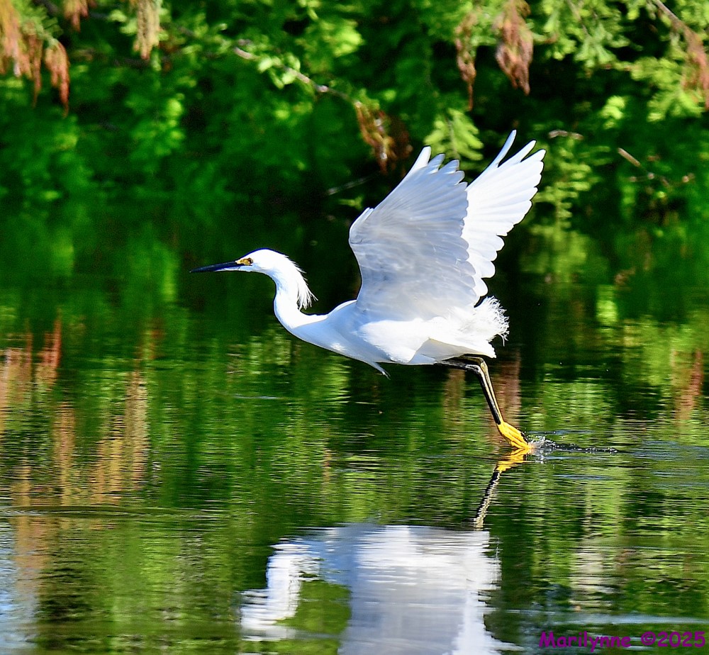 DSC_4573_001.JPG