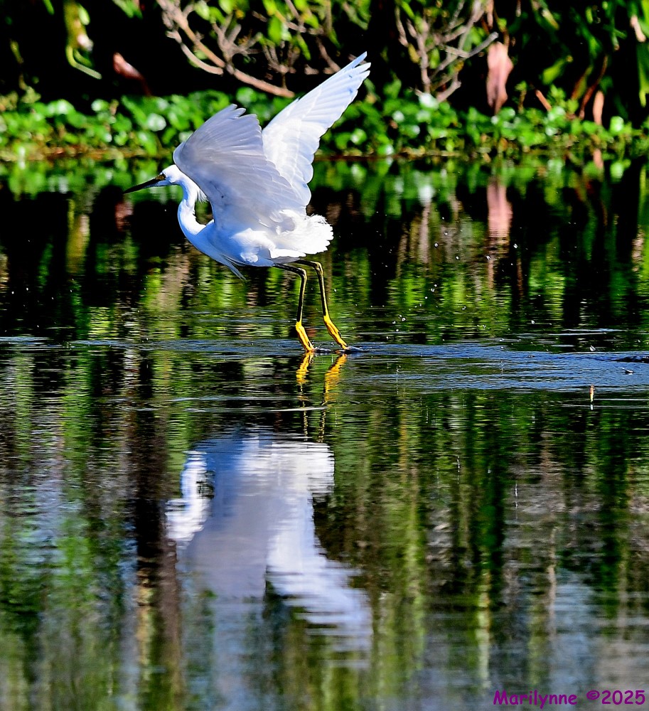 DSC_4579_001.JPG