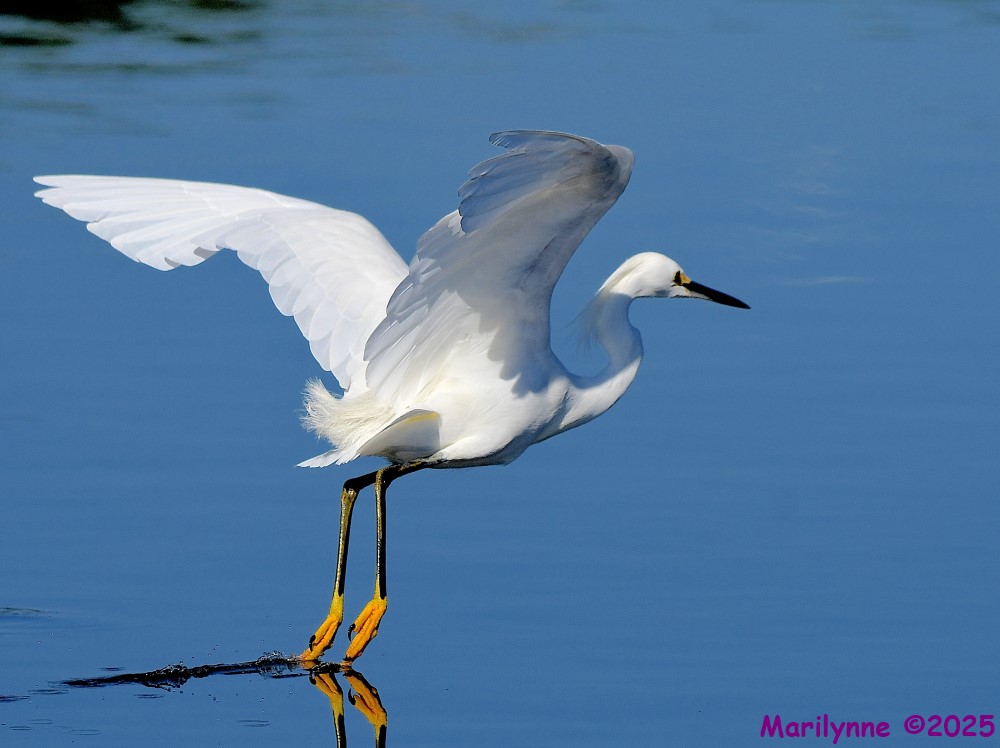 DSC_4582_001.JPG