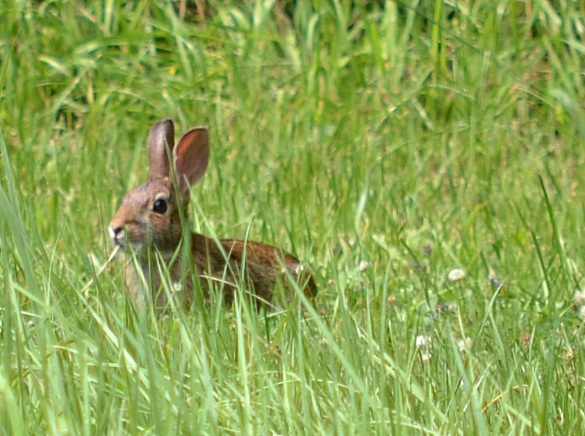 DSC_4583.JPG