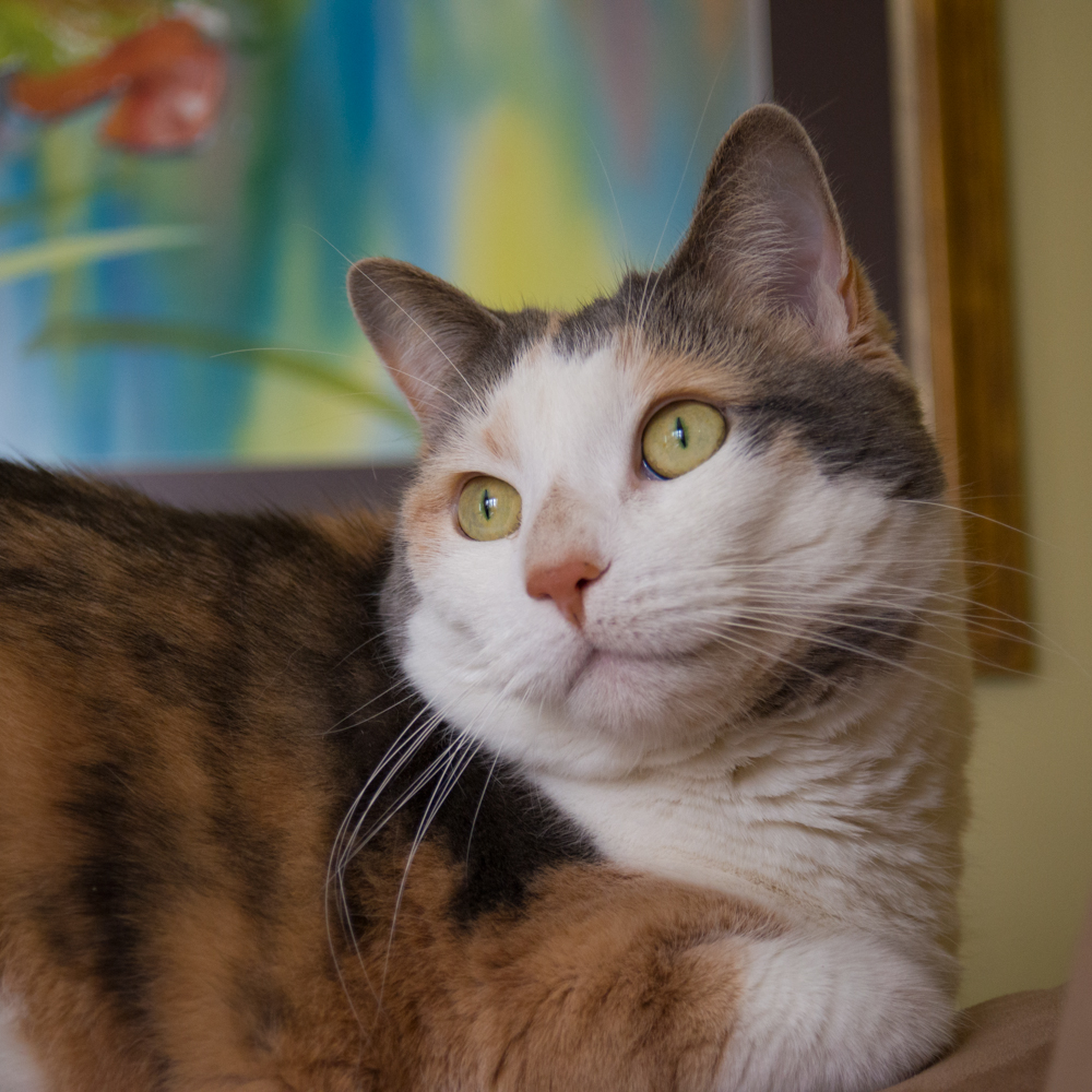 DSC_4583.jpg