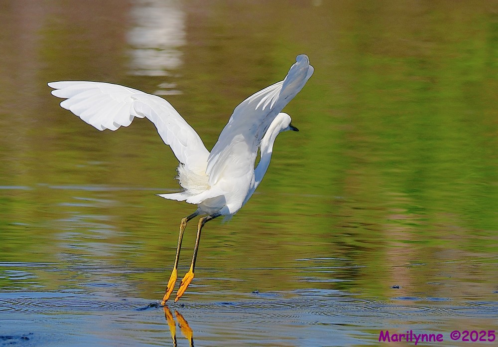 DSC_4586_001.JPG