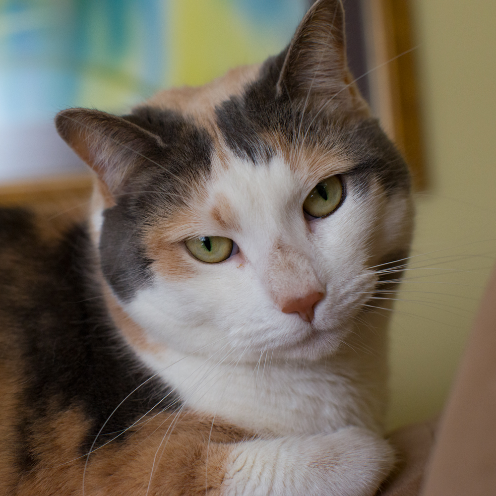 DSC_4588.jpg