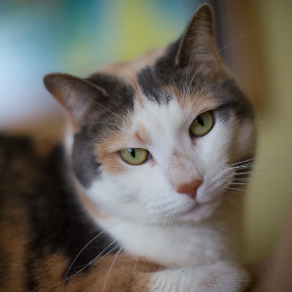 DSC_4589.jpg