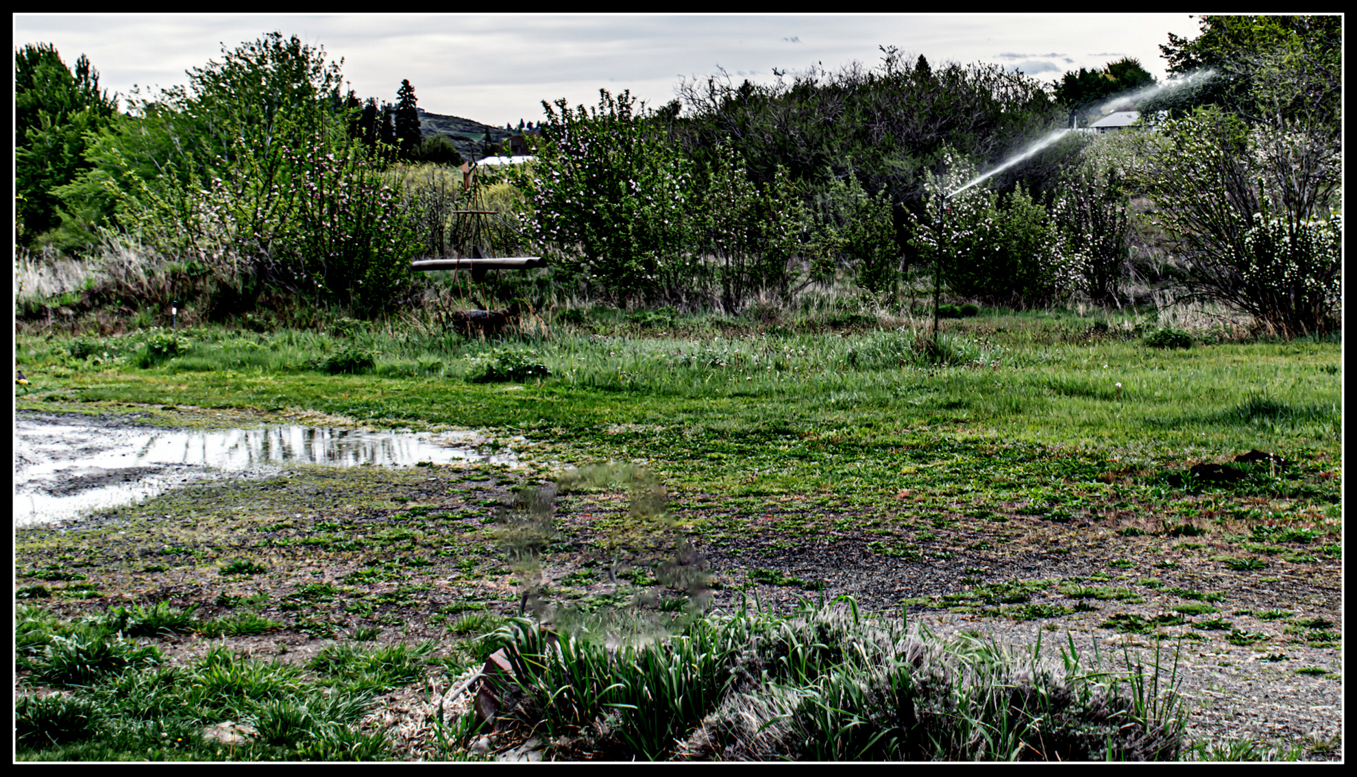 DSC_4592-Enhanced-NR.jpg
