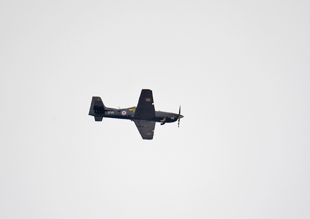 DSC_4603.jpg