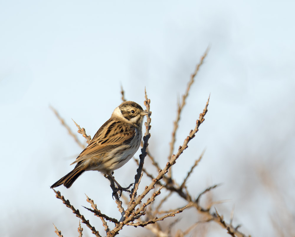 DSC_4604.jpg