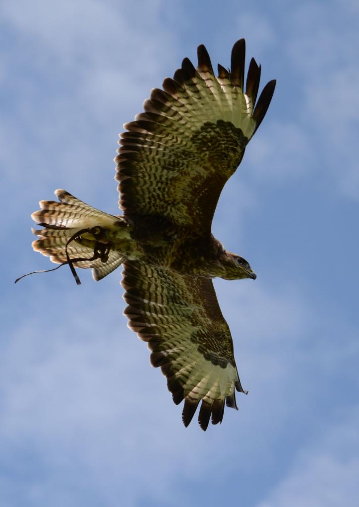 DSC_4607.jpg
