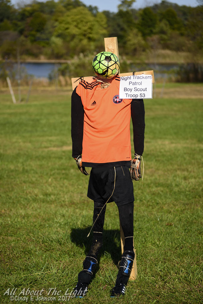 DSC_4607 low res.jpg