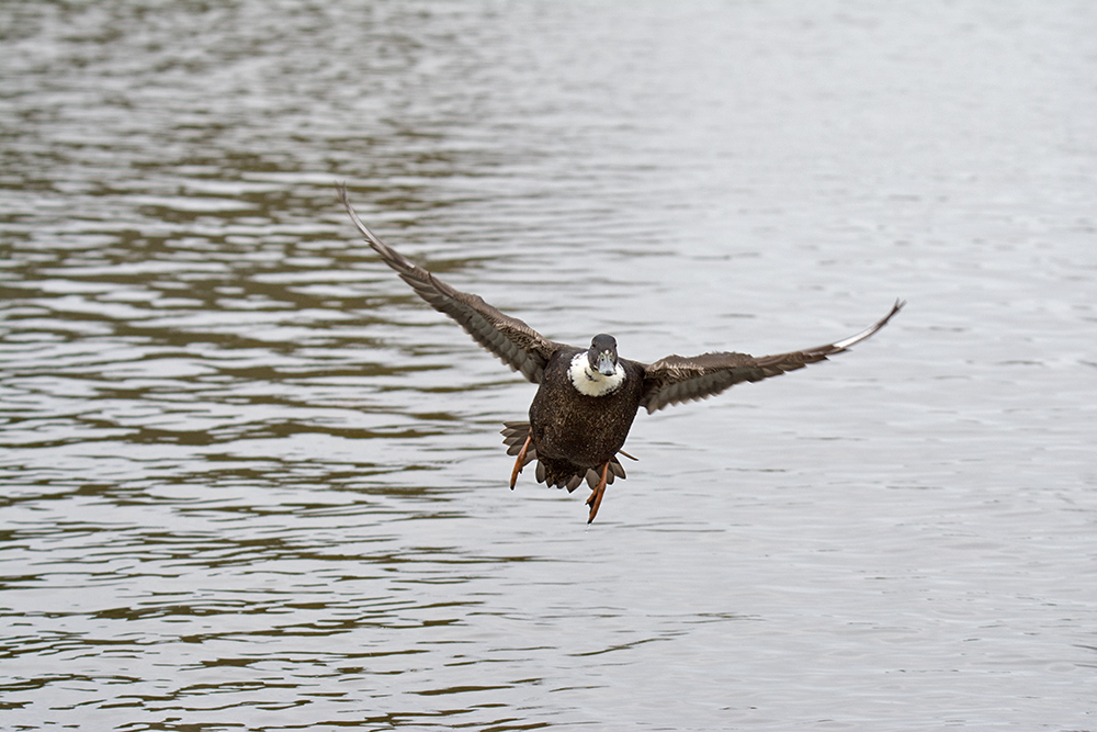 DSC_4609.jpg