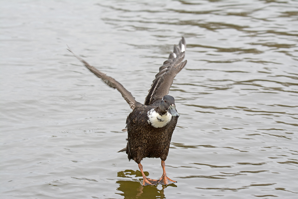 DSC_4611.jpg