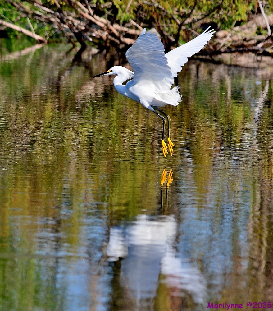 DSC_4615_001.JPG