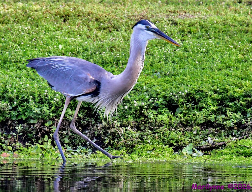 DSC_4622_001.JPG