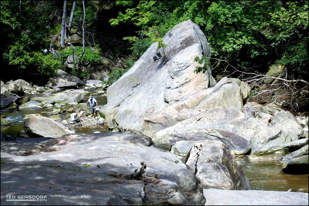 DSC_4622_1962.jpg