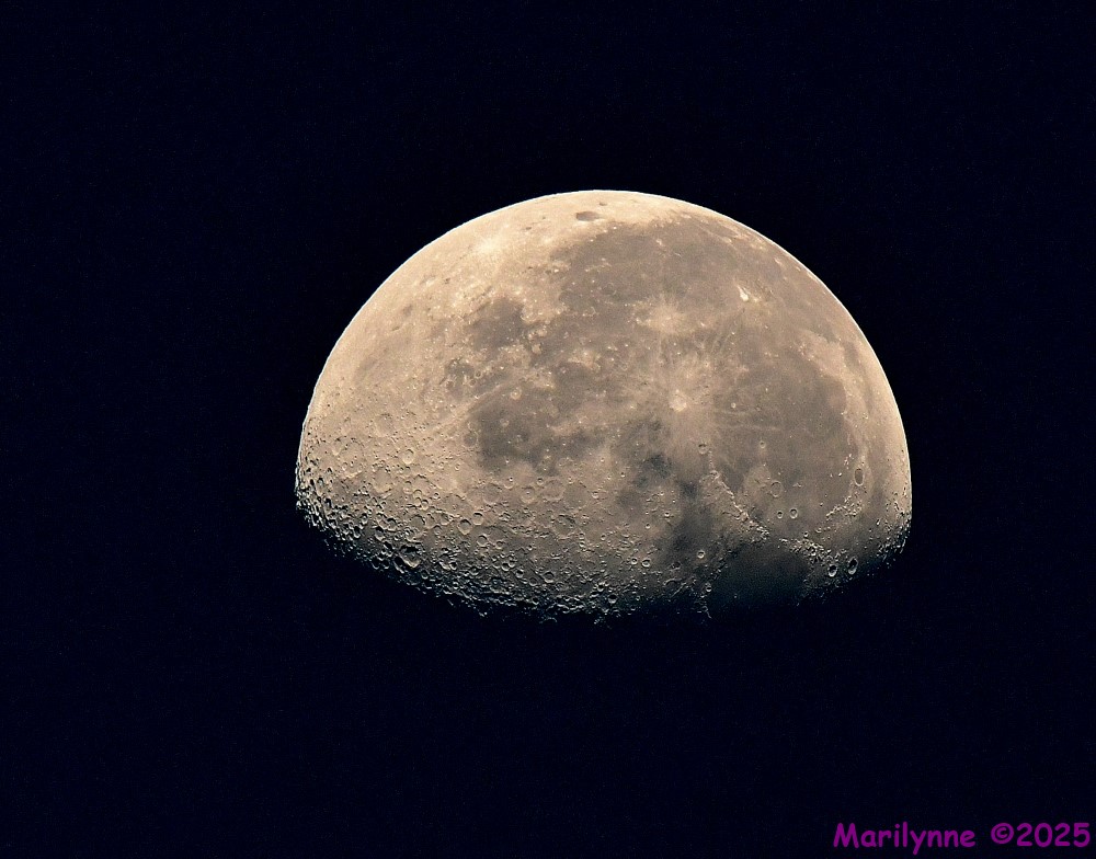 DSC_4626_001.JPG