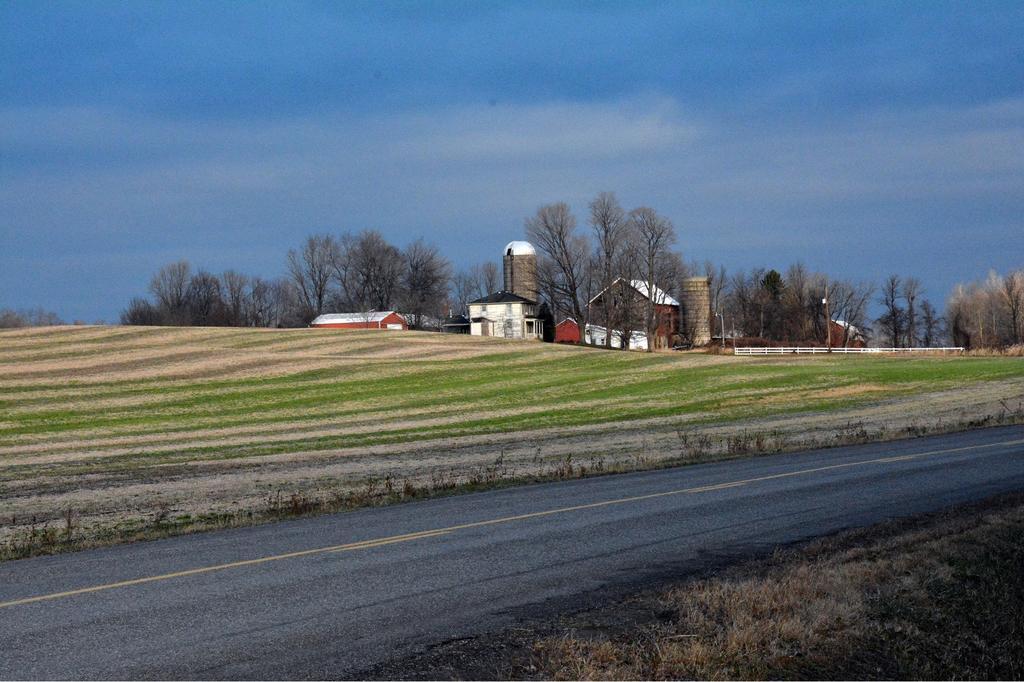 DSC_4632.jpg