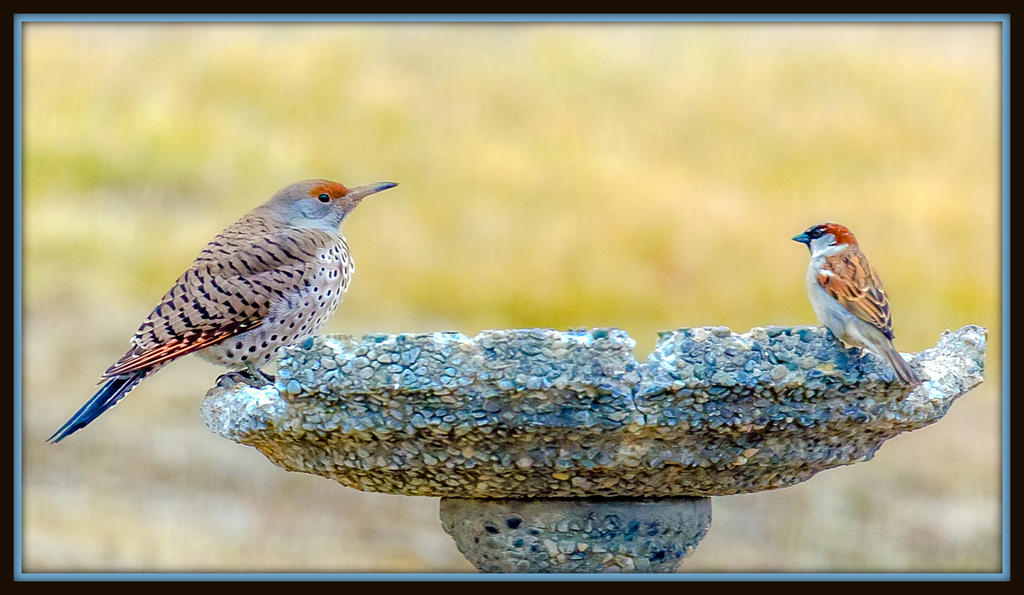 DSC_4634-Edit.jpg