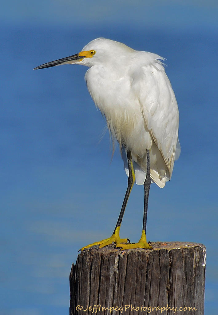 DSC_4640.jpg
