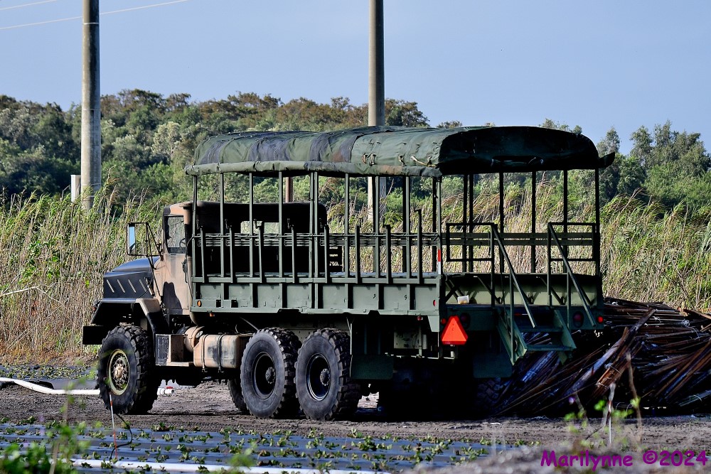 DSC_4640_001.JPG