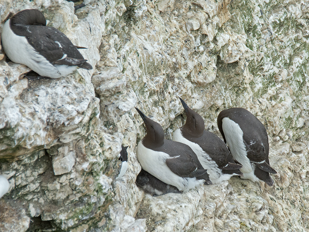 DSC_4642.jpg