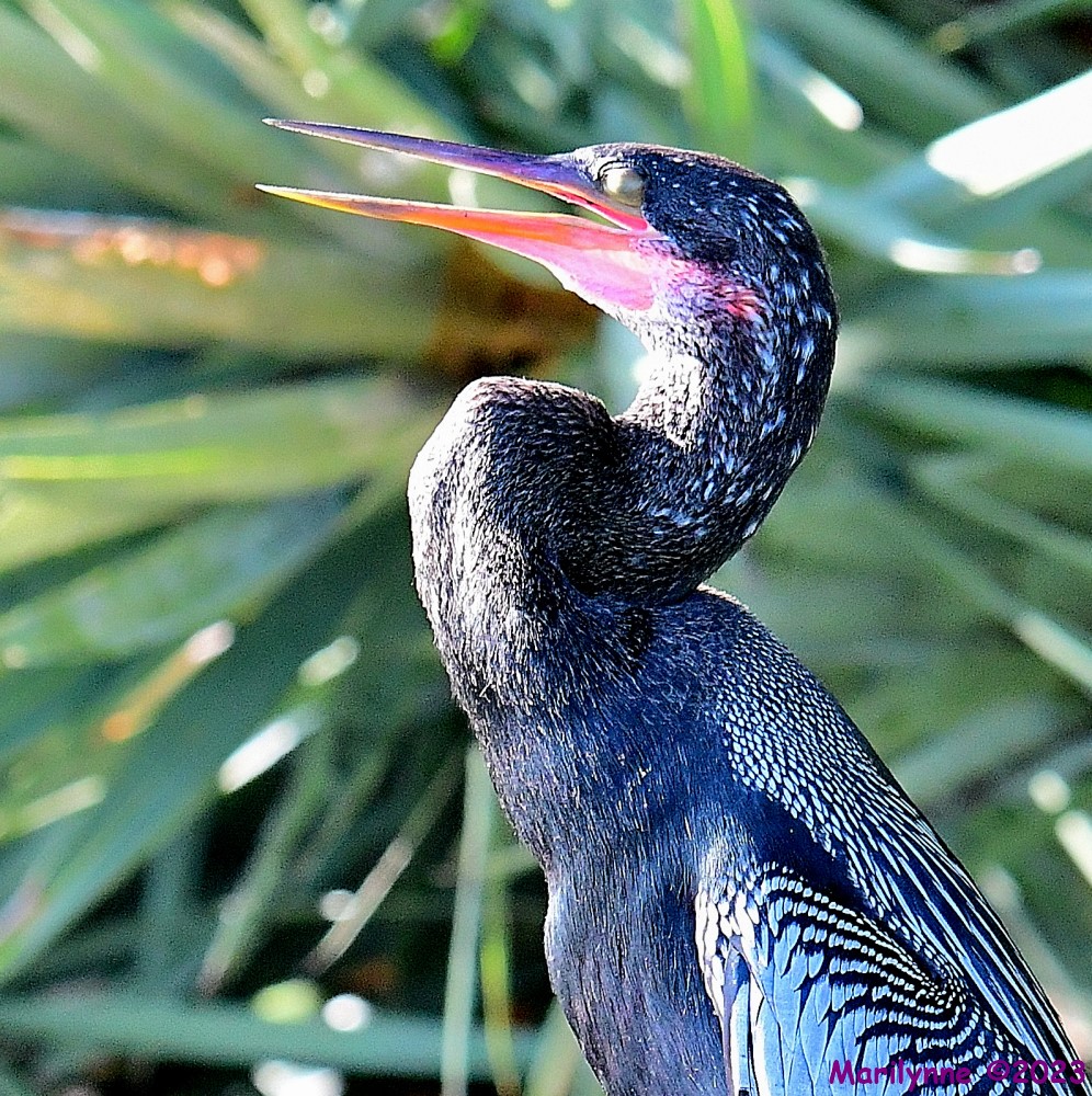DSC_4648_001.JPG