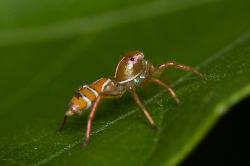 DSC_4651.jpg